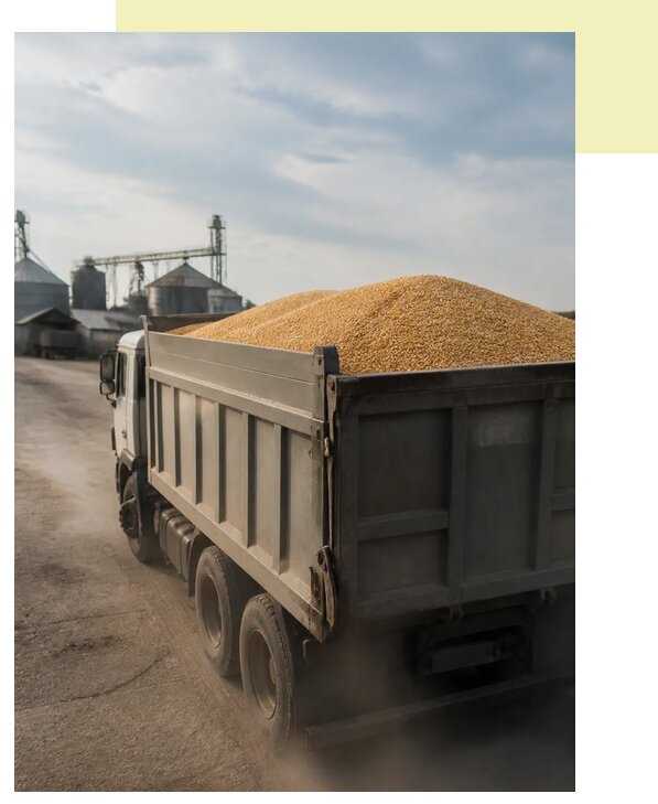 Перевозка сельхозпродукции навалом в Сочи по цене от 3101 р. | Агросервис-Счи