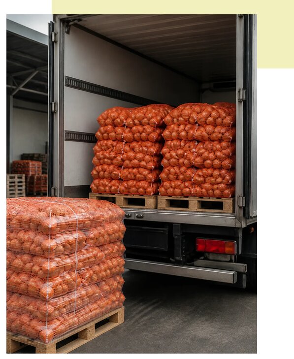 Перевозка репчатого лука в Сочи по цене от 5168 р. | Агросервис-Счи